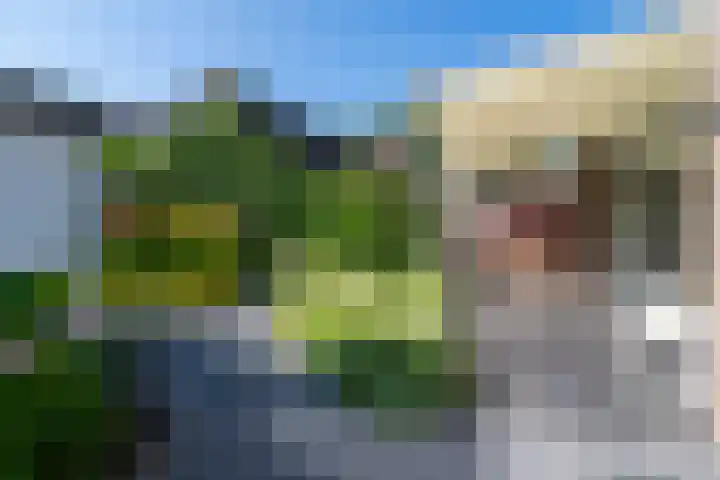 Deneburg 6 Reusel thumbnail 42
