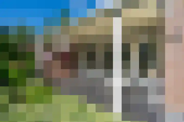 Deneburg 6 Reusel thumbnail 43
