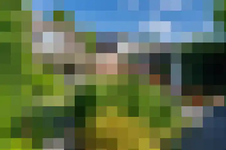 Deneburg 6 Reusel thumbnail 47