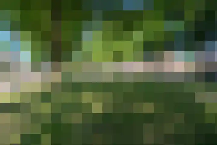 Deneburg 6 Reusel thumbnail 48
