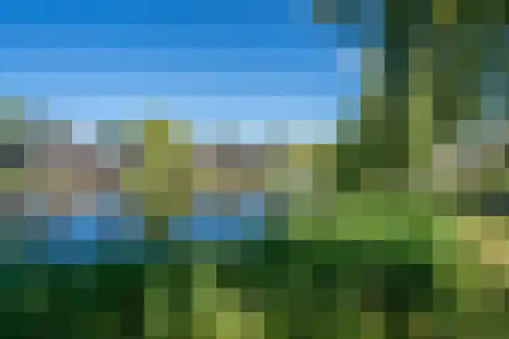 Deneburg 6 Reusel thumbnail 50