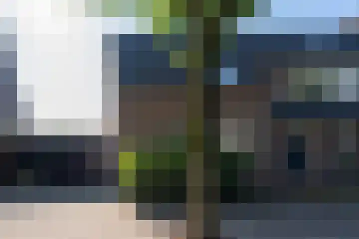 Deneburg 6 Reusel thumbnail 51