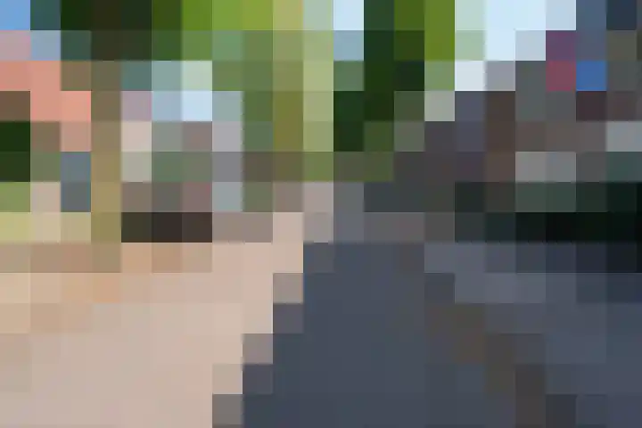 Deneburg 6 Reusel thumbnail 53