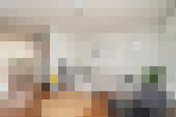 Deneburg 6 Reusel thumbnail 6