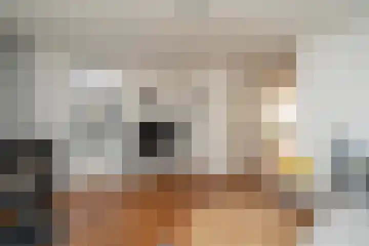 Deneburg 6 Reusel thumbnail 7