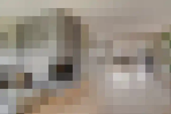 Denekamperdijk 30 Losser thumbnail 10
