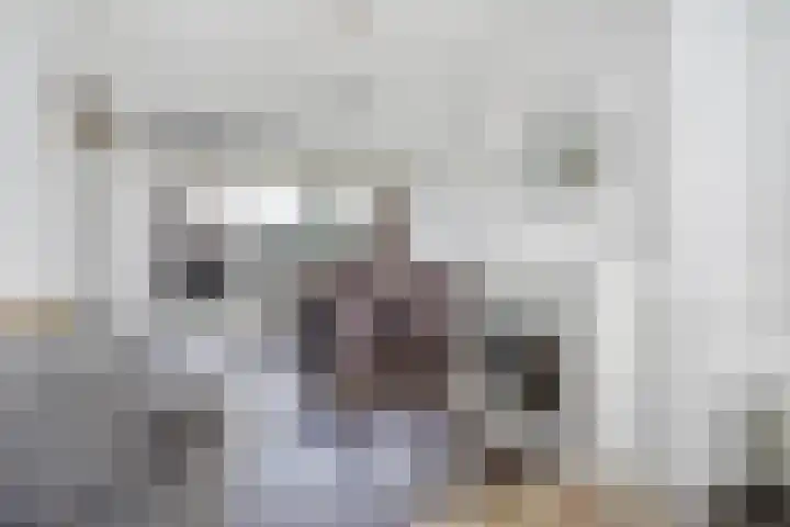 Denekamperdijk 30 Losser thumbnail 12