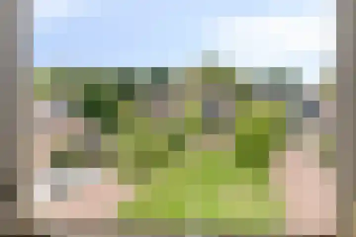 Denekamperdijk 30 Losser thumbnail 33