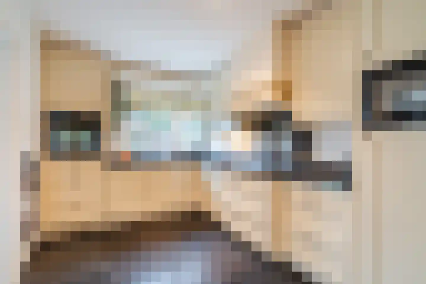 Denekamperdijk 30 Losser thumbnail 35