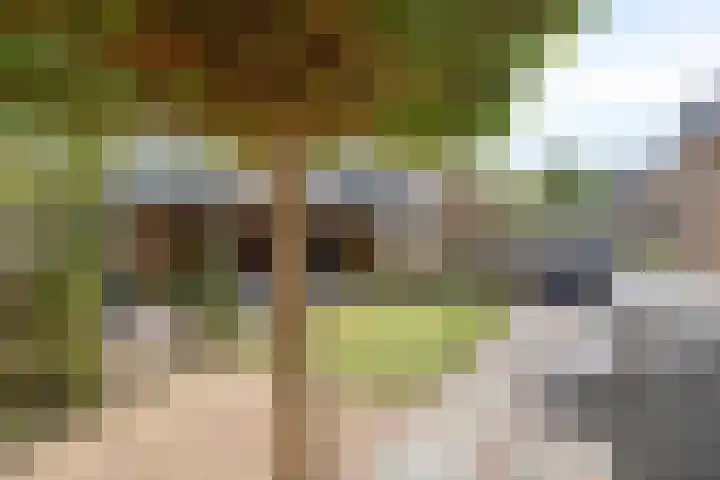 Denekamperdijk 30 Losser thumbnail 35