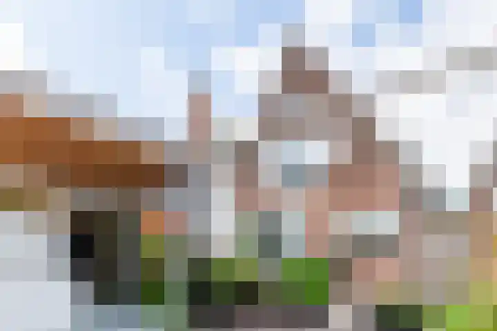 Denekamperdijk 30 Losser thumbnail 38