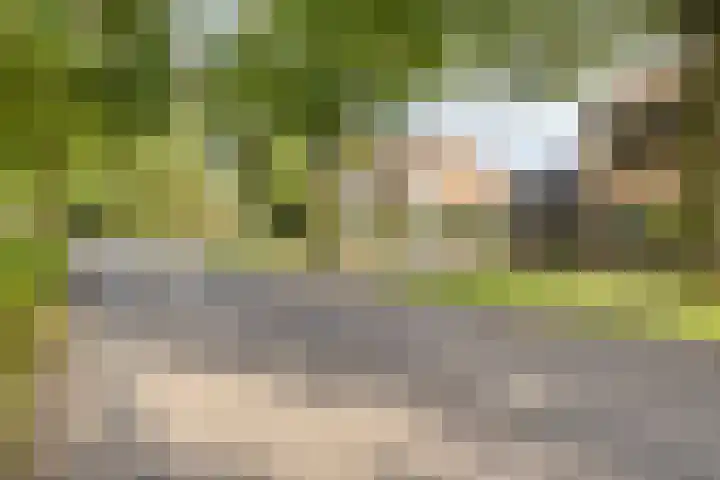 Denekamperdijk 30 Losser thumbnail 39