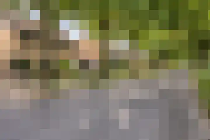 Denekamperdijk 30 Losser thumbnail 40