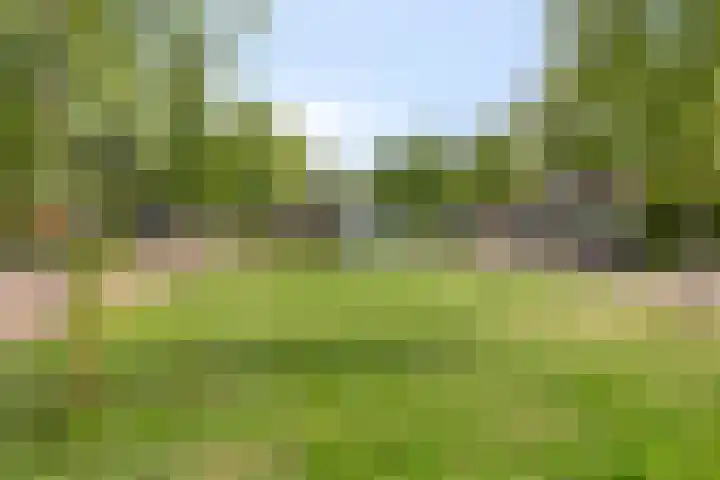 Denekamperdijk 30 Losser thumbnail 41
