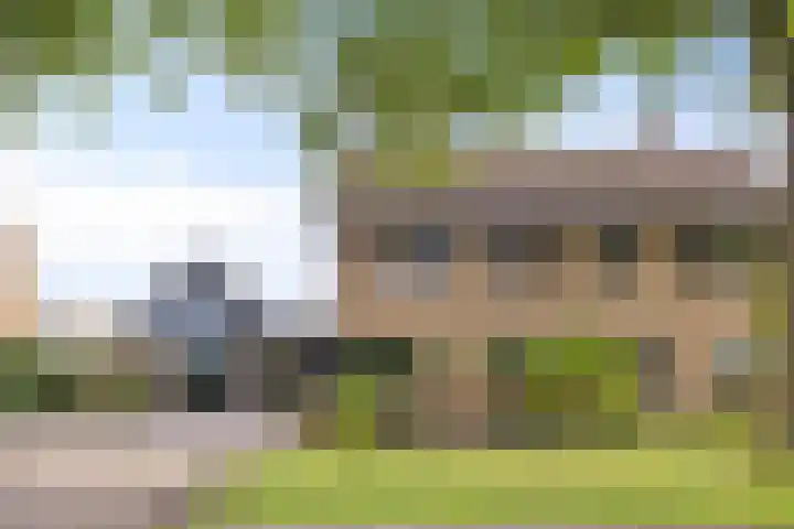 Denekamperdijk 30 Losser thumbnail 5