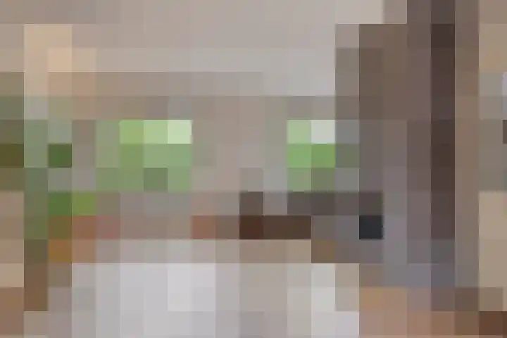 Denekamperdijk 30 Losser thumbnail 8