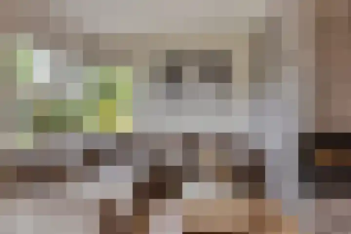 Denekamperdijk 30 Losser thumbnail 9