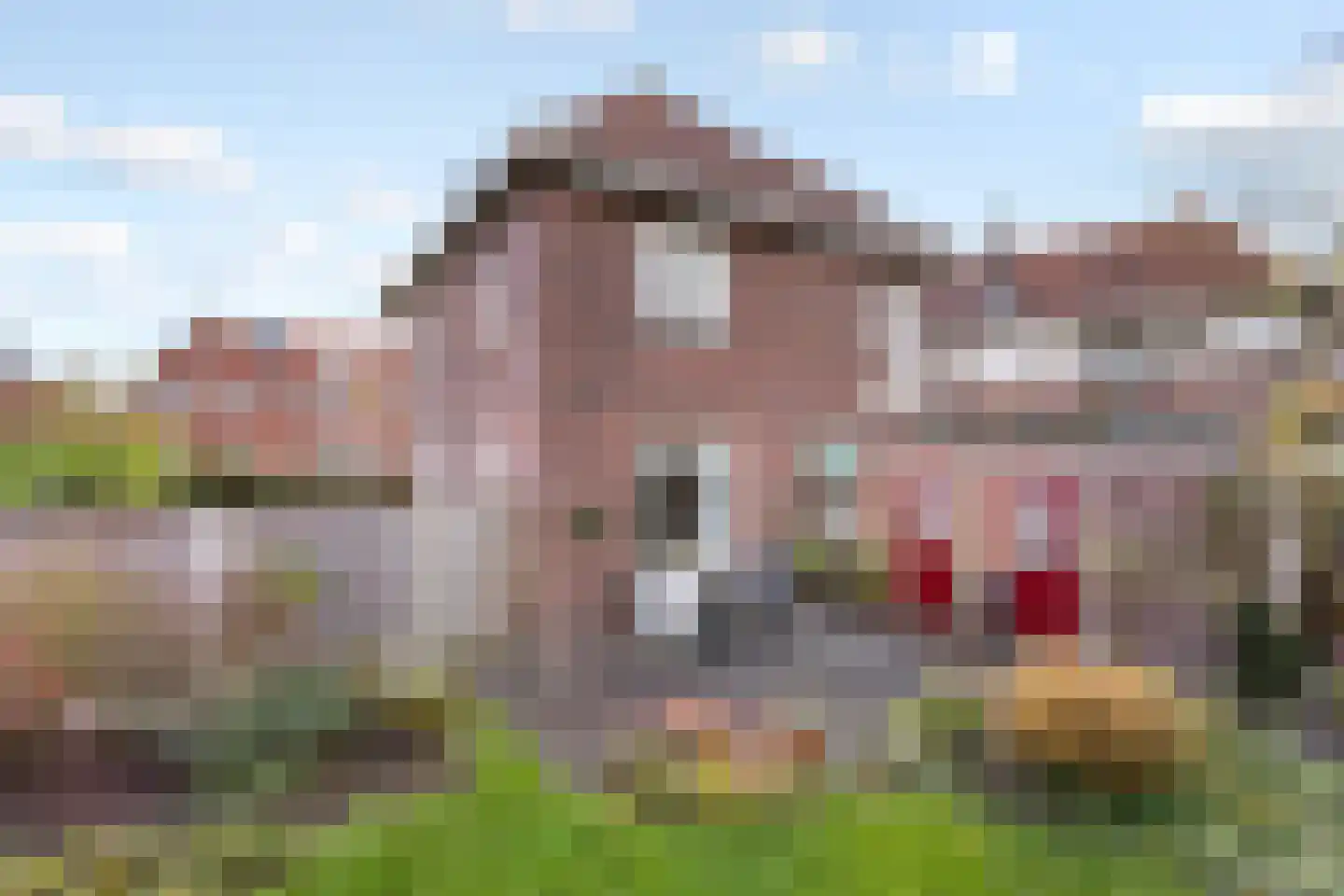 Denekamperstraat 11 Oldenzaal thumbnail 18