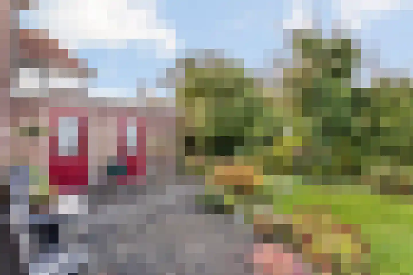 Denekamperstraat 11 Oldenzaal thumbnail 19