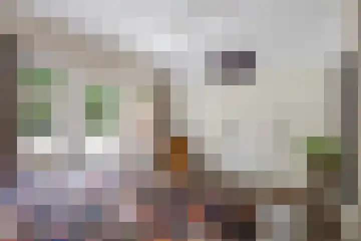 Denekamperstraat 23 A Beuningen thumbnail 16