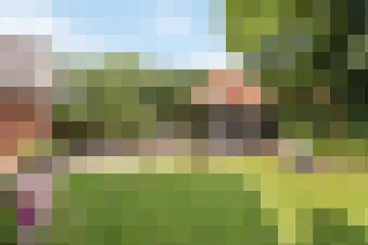 Denekamperstraat 23 A Beuningen thumbnail 20