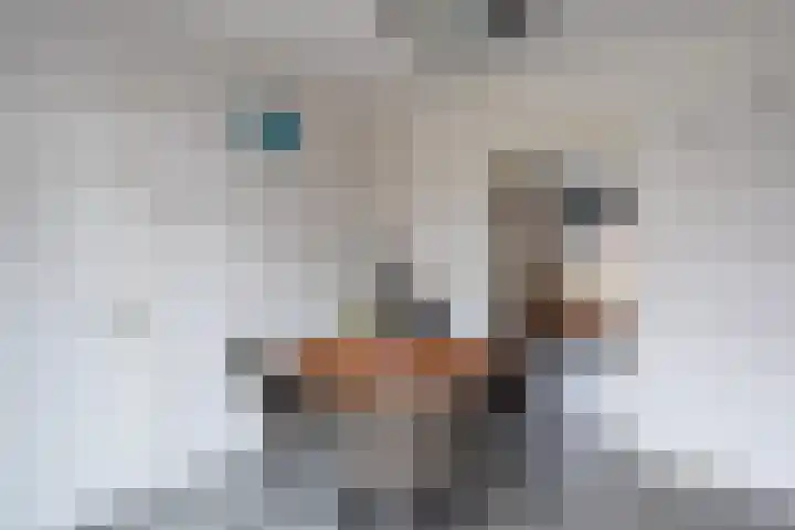 Denekamperstraat 25 Oldenzaal thumbnail 11