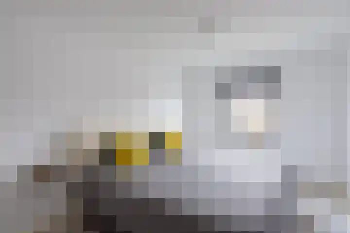 Denekamperstraat 25 Oldenzaal thumbnail 13