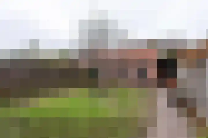 Denekamperstraat 25 Oldenzaal thumbnail 21