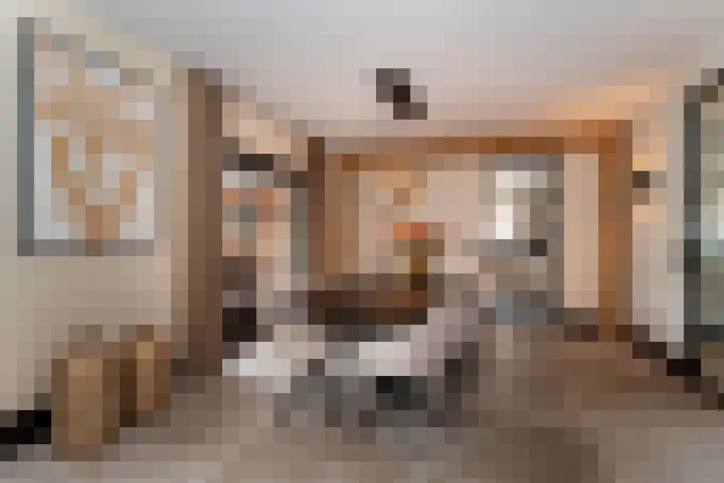 Denekamperstraat 52 Ootmarsum thumbnail 12