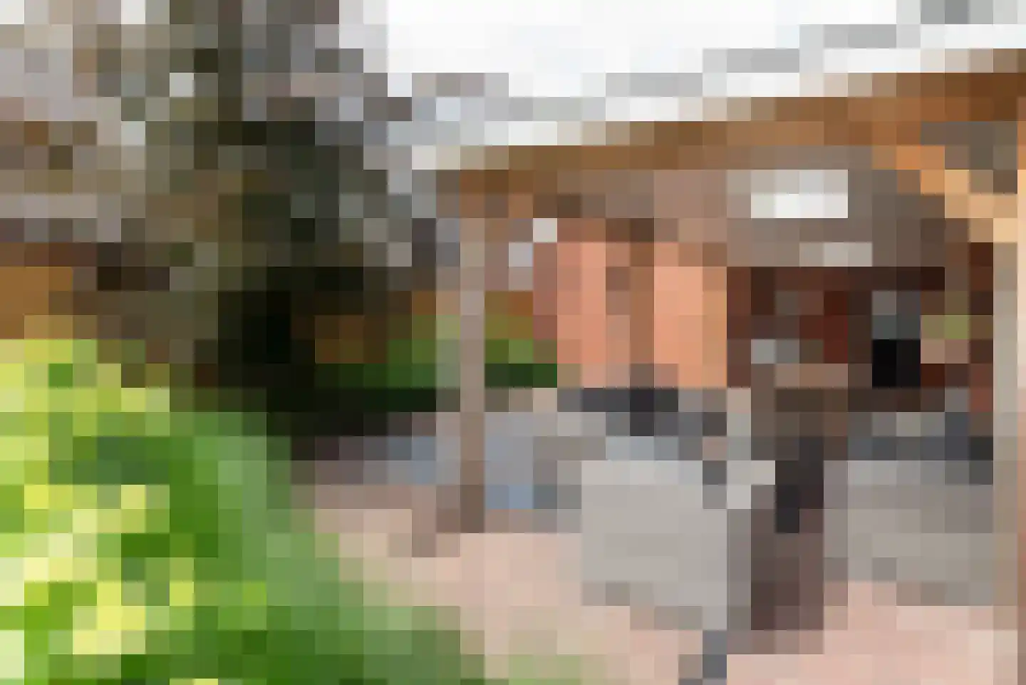 Denekamperstraat 52 Ootmarsum thumbnail 30