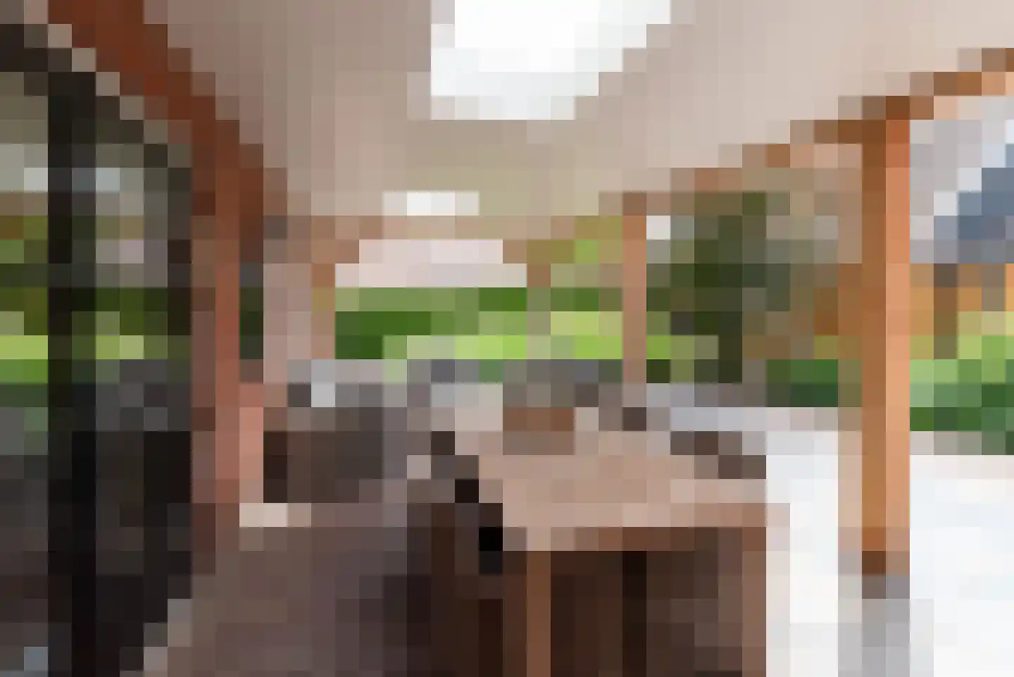 Denekamperstraat 52 Ootmarsum thumbnail 33