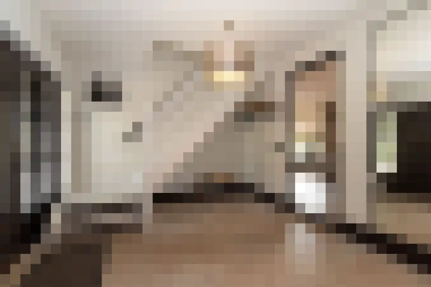 Denekamperstraat 52 Ootmarsum thumbnail 6
