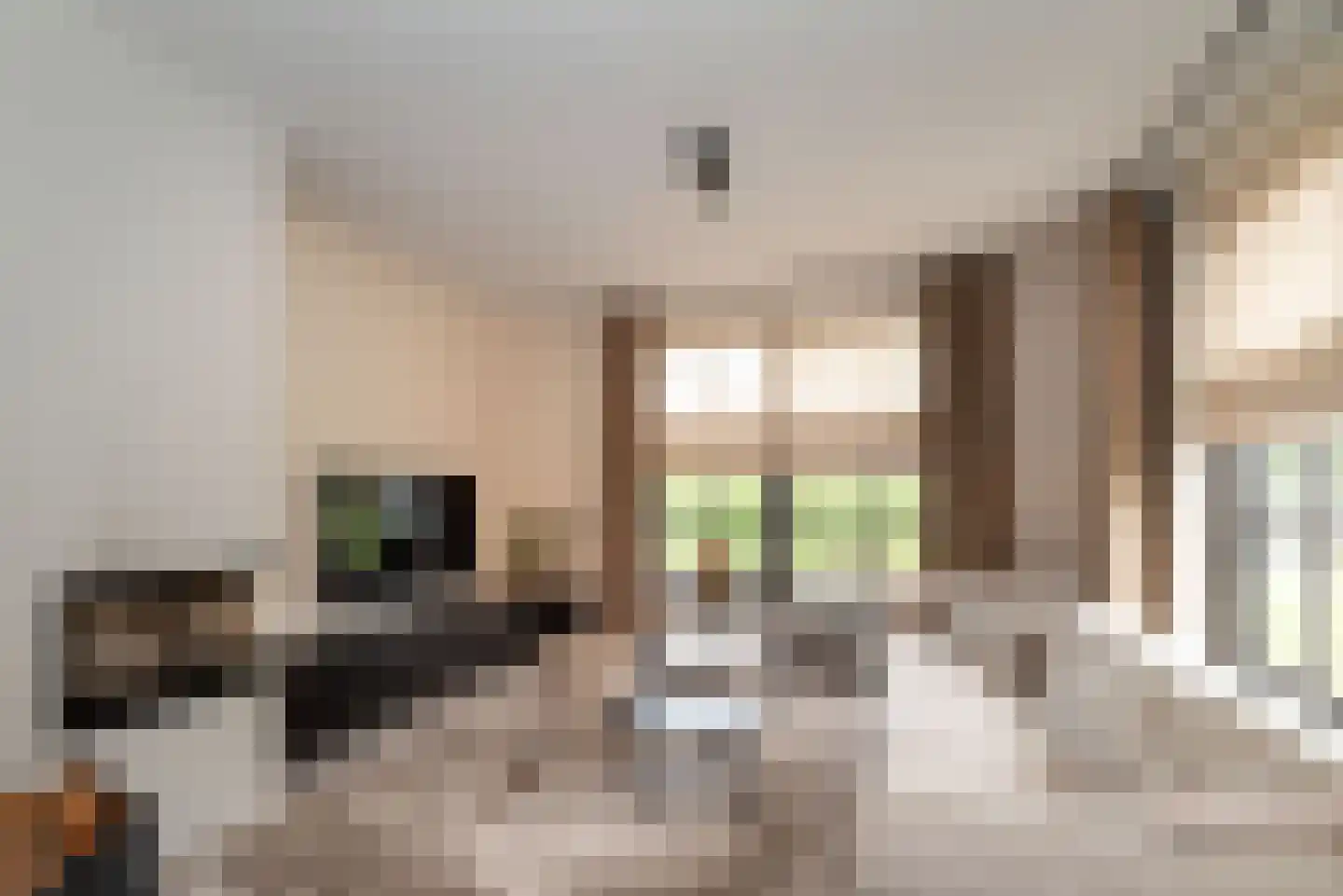 Denekamperstraat 52 Ootmarsum thumbnail 8