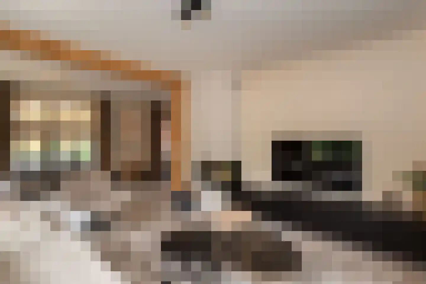 Denekamperstraat 52 Ootmarsum thumbnail 9