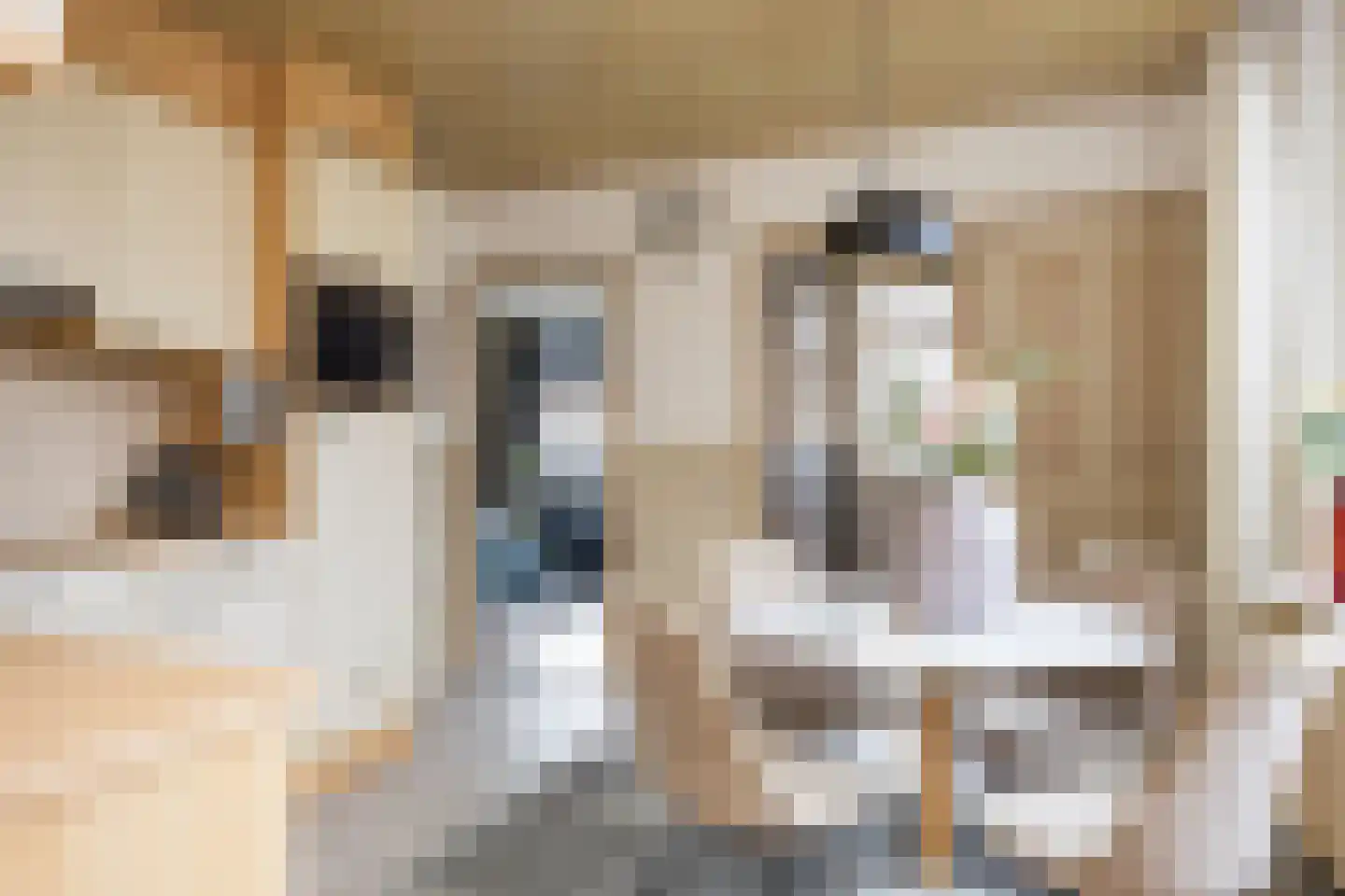 Denekamperstraat 53 Ootmarsum thumbnail 15