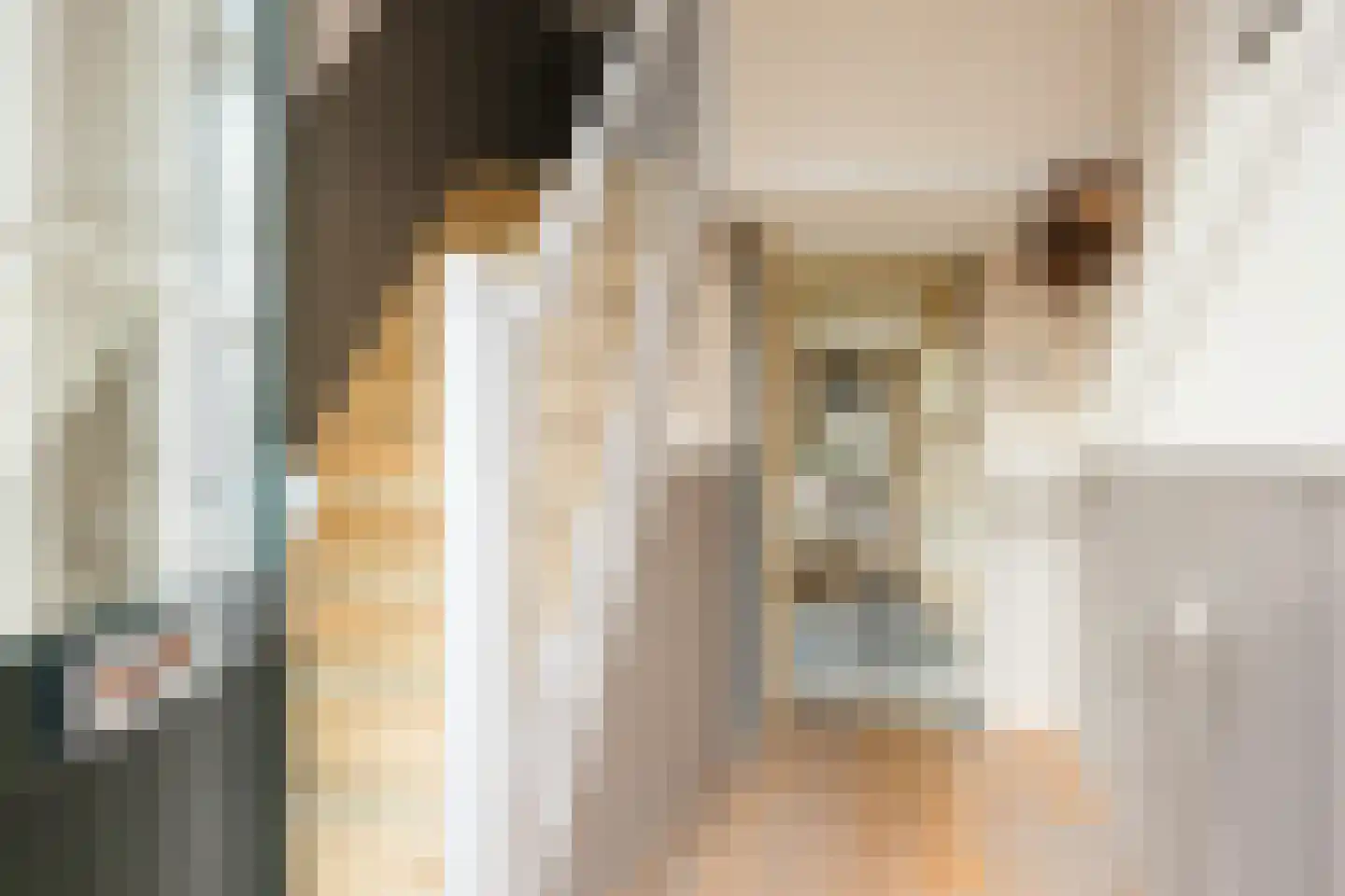 Denekamperstraat 53 Ootmarsum thumbnail 5