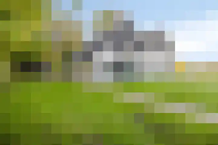 Denekamperstraat 62 Ootmarsum thumbnail 12