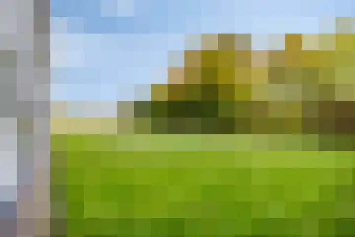 Denekamperstraat 62 Ootmarsum thumbnail 13