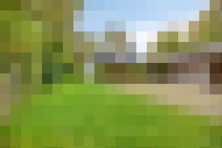 Denekamperstraat 62 Ootmarsum thumbnail 16