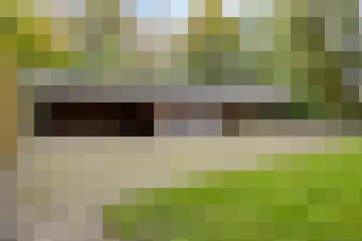 Denekamperstraat 62 Ootmarsum thumbnail 17