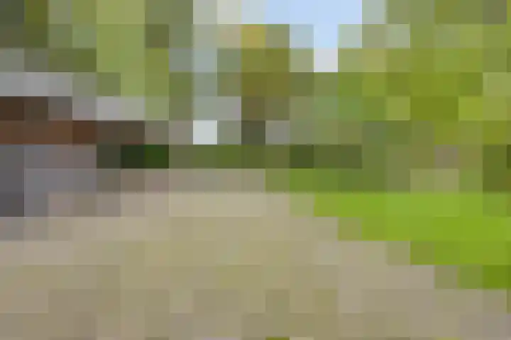 Denekamperstraat 62 Ootmarsum thumbnail 18