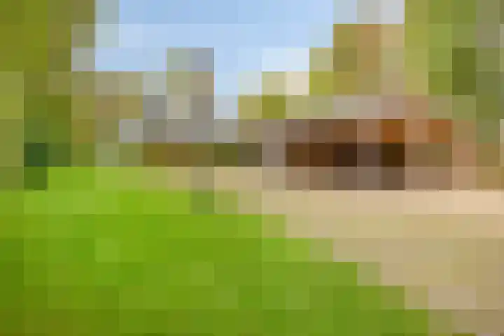 Denekamperstraat 62 Ootmarsum thumbnail 19