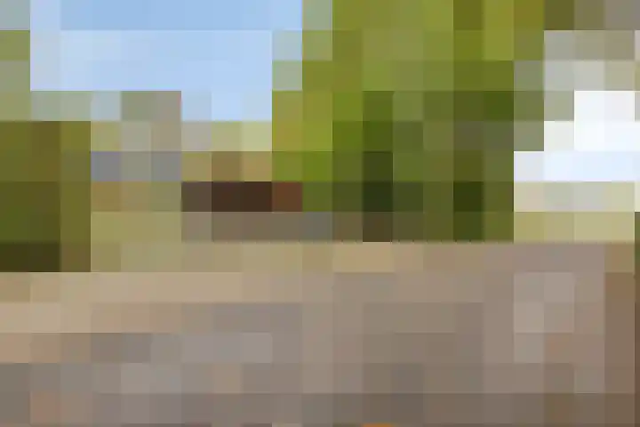 Denekamperstraat 62 Ootmarsum thumbnail 20
