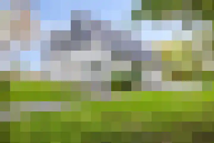 Denekamperstraat 62 Ootmarsum thumbnail 6