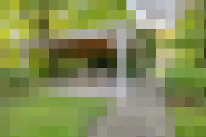 Denekamperstraat 62 Ootmarsum thumbnail 7