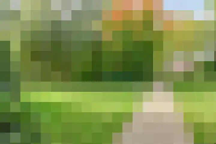 Denekamperstraat 62 Ootmarsum thumbnail 8