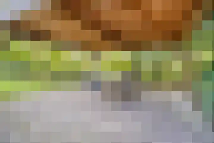 Denekamperstraat 62 Ootmarsum thumbnail 9