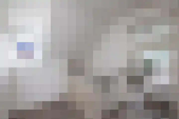 Denekamperweg 125 Vasse thumbnail 11
