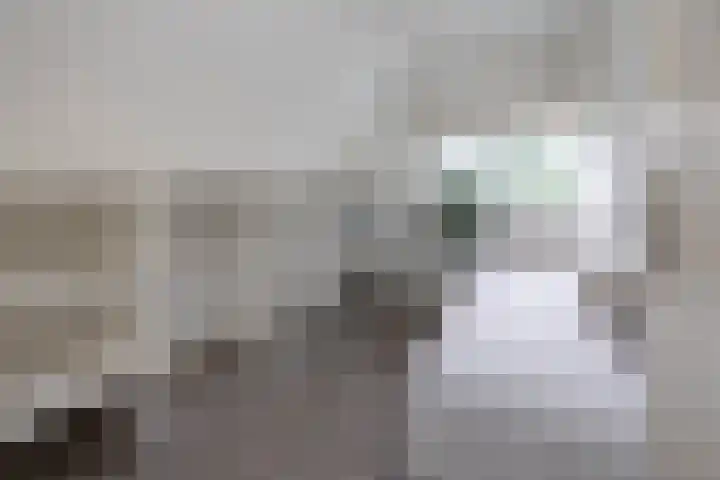 Denekamperweg 125 Vasse thumbnail 12