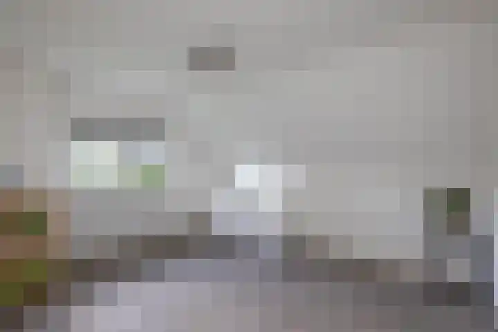 Denekamperweg 125 Vasse thumbnail 14